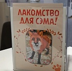 В гостях у Сэма: заряд добра и позитива.